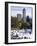 People Skating in Central Park, Manhattan, New York City, New York, USA-Peter Scholey-Framed Photographic Print