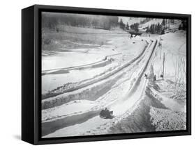 People Skiing and Sledding-null-Framed Stretched Canvas