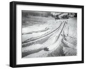 People Skiing and Sledding-null-Framed Photographic Print