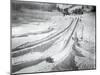 People Skiing and Sledding-null-Mounted Photographic Print