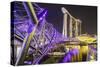 People Strolling on the Helix Bridge Towards the Marina Bay Sands and Artscience Museum at Night-Fraser Hall-Stretched Canvas