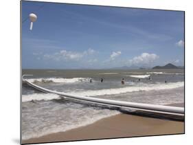 People Swimming Within Stinger Protection Net at Palm Cove-Nick Servian-Mounted Photographic Print