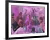 People Throwing Color Powder and Water on Street, Holy Festival, Barsana, India-Keren Su-Framed Photographic Print