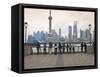 People Viewing the Pudong Skyline and the Oriental Pearl Tower from the Bund, Shanghai, China, Asia-Amanda Hall-Framed Stretched Canvas