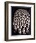 People Waiting, 1986-Evelyn Williams-Framed Giclee Print