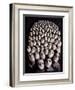People Waiting, 1986-Evelyn Williams-Framed Giclee Print