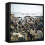 People Waiting on Beach for Dhows to Land Fish, Stone Town, Zanzibar, Tanzania, East Africa, Africa-Lee Frost-Framed Stretched Canvas