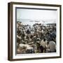 People Waiting on Beach for Dhows to Land Fish, Stone Town, Zanzibar, Tanzania, East Africa, Africa-Lee Frost-Framed Photographic Print