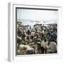People Waiting on Beach for Dhows to Land Fish, Stone Town, Zanzibar, Tanzania, East Africa, Africa-Lee Frost-Framed Photographic Print