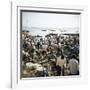 People Waiting on Beach for Dhows to Land Fish, Stone Town, Zanzibar, Tanzania, East Africa, Africa-Lee Frost-Framed Photographic Print
