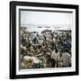 People Waiting on Beach for Dhows to Land Fish, Stone Town, Zanzibar, Tanzania, East Africa, Africa-Lee Frost-Framed Photographic Print