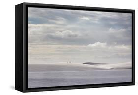 People Walk across the Dunes in Brazil's Lencois Maranhenses National Park-Alex Saberi-Framed Stretched Canvas