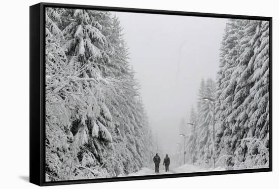 People Walk under Heavy Snowfall Near the Eastern German Town of Altenberg-David W Cerny-Framed Stretched Canvas