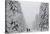 People Walk under Heavy Snowfall Near the Eastern German Town of Altenberg-David W Cerny-Stretched Canvas