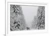 People Walk under Heavy Snowfall Near the Eastern German Town of Altenberg-David W Cerny-Framed Photographic Print