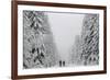 People Walk under Heavy Snowfall Near the Eastern German Town of Altenberg-David W Cerny-Framed Photographic Print