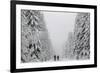 People Walk under Heavy Snowfall Near the Eastern German Town of Altenberg-David W Cerny-Framed Photographic Print