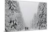 People Walk under Heavy Snowfall Near the Eastern German Town of Altenberg-David W Cerny-Mounted Photographic Print