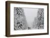 People Walk under Heavy Snowfall Near the Eastern German Town of Altenberg-David W Cerny-Framed Photographic Print