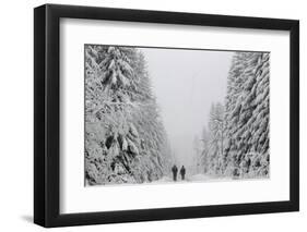 People Walk under Heavy Snowfall Near the Eastern German Town of Altenberg-David W Cerny-Framed Photographic Print