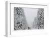 People Walk under Heavy Snowfall Near the Eastern German Town of Altenberg-David W Cerny-Framed Photographic Print