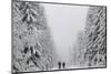 People Walk under Heavy Snowfall Near the Eastern German Town of Altenberg-David W Cerny-Mounted Photographic Print