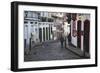 People Walking Along Street, Ouro Preto, UNESCO World Heritage Site, Minas Gerais, Brazil-Ian Trower-Framed Photographic Print