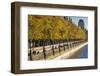 People Walking Beneath Trees Bearing Autumn Coloured Leaves-Charlie Harding-Framed Photographic Print