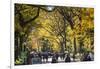 People walking in a park, Central Park Mall, Central Park, Manhattan, New York City, New York St...-Panoramic Images-Framed Photographic Print