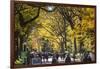 People walking in a park, Central Park Mall, Central Park, Manhattan, New York City, New York St...-Panoramic Images-Framed Photographic Print