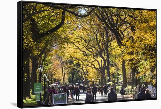 People walking in a park, Central Park Mall, Central Park, Manhattan, New York City, New York St...-Panoramic Images-Framed Stretched Canvas