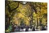 People walking in a park, Central Park Mall, Central Park, Manhattan, New York City, New York St...-Panoramic Images-Stretched Canvas