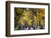 People walking in a park, Central Park Mall, Central Park, Manhattan, New York City, New York St...-Panoramic Images-Framed Photographic Print