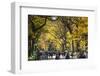 People walking in a park, Central Park Mall, Central Park, Manhattan, New York City, New York St...-Panoramic Images-Framed Photographic Print