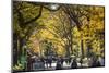 People walking in a park, Central Park Mall, Central Park, Manhattan, New York City, New York St...-Panoramic Images-Mounted Photographic Print