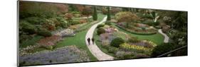 People Walking in Butchart Gardens, Brentwood Bay, Vancouver Island, British Columbia, Canada-null-Mounted Photographic Print