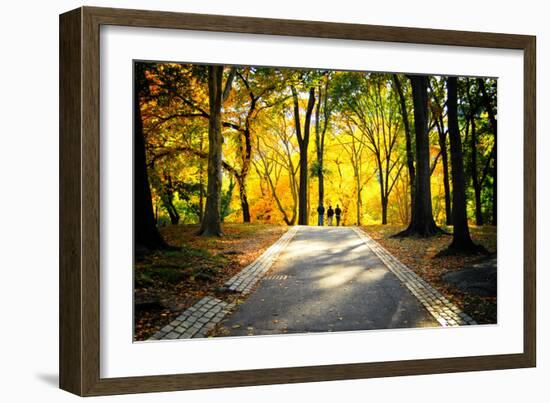 People Walking in Central Park, Manhattan, New York City-Sabine Jacobs-Framed Photographic Print