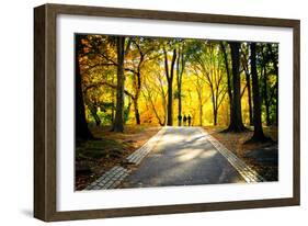 People Walking in Central Park, Manhattan, New York City-Sabine Jacobs-Framed Photographic Print