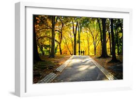 People Walking in Central Park, Manhattan, New York City-Sabine Jacobs-Framed Photographic Print