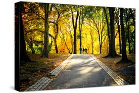 People Walking in Central Park, Manhattan, New York City-Sabine Jacobs-Stretched Canvas