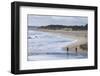 People Walking on a Beach Near Margaret River, Western Australia, Australia, Pacific-Michael Runkel-Framed Photographic Print