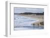 People Walking on a Beach Near Margaret River, Western Australia, Australia, Pacific-Michael Runkel-Framed Photographic Print