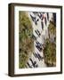 People Walking on the High Line, a 1-Mile New York City Park on a Section of Former Elevated Railro-Gavin Hellier-Framed Photographic Print