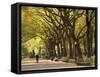 People Walking Through Central Park in Autumn, NYC-Walter Bibikow-Framed Stretched Canvas
