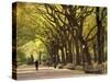 People Walking Through Central Park in Autumn, NYC-Walter Bibikow-Stretched Canvas