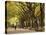 People Walking Through Central Park in Autumn, NYC-Walter Bibikow-Stretched Canvas