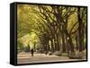 People Walking Through Central Park in Autumn, NYC-Walter Bibikow-Framed Stretched Canvas