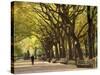 People Walking Through Central Park in Autumn, NYC-Walter Bibikow-Stretched Canvas