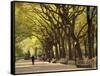 People Walking Through Central Park in Autumn, NYC-Walter Bibikow-Framed Stretched Canvas