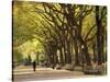 People Walking Through Central Park in Autumn, NYC-Walter Bibikow-Stretched Canvas